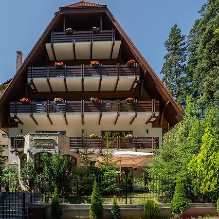 Opus Villa Sinaia Ngoại thất bức ảnh The chalet in 2012