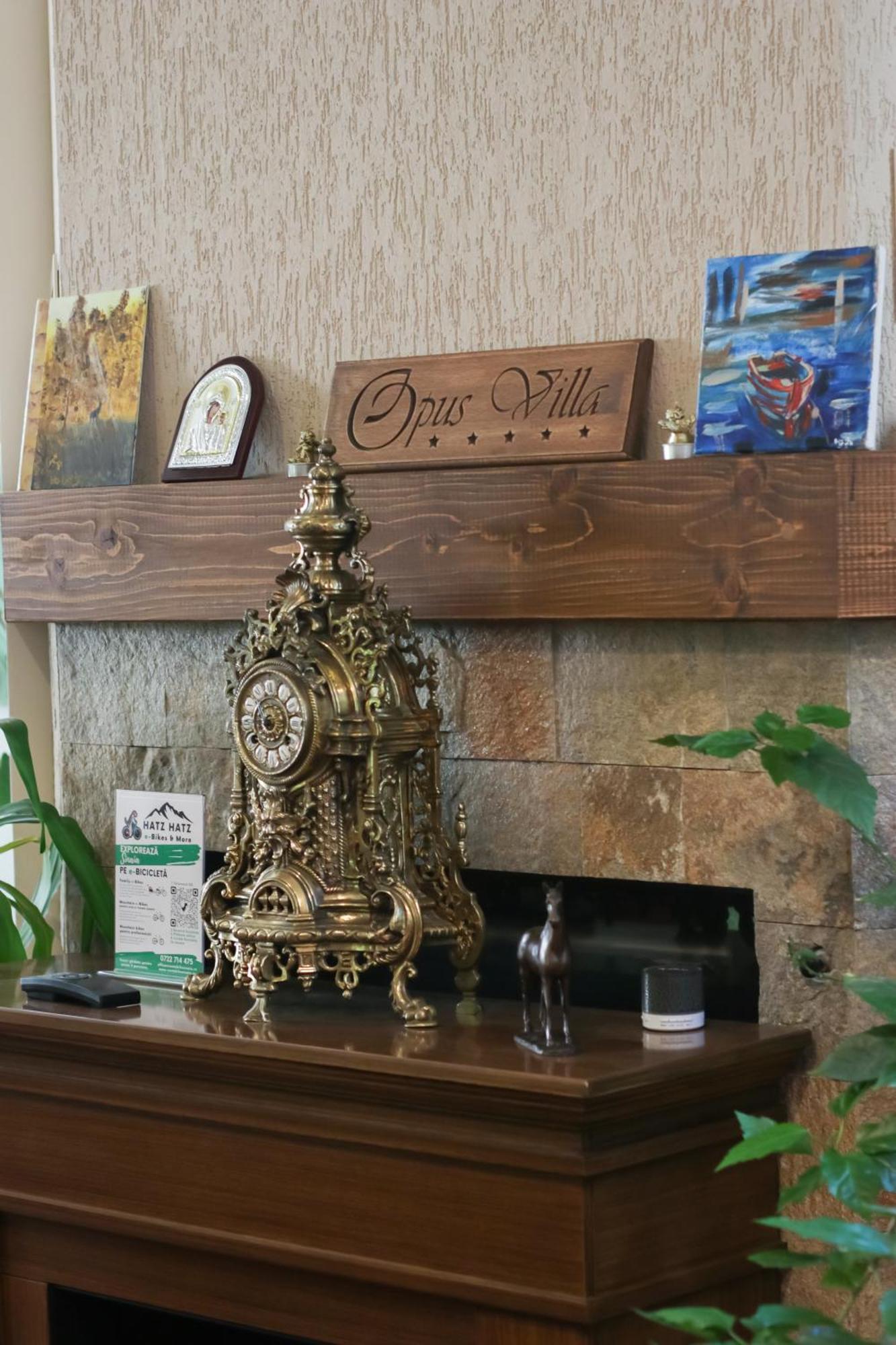 Opus Villa Sinaia Ngoại thất bức ảnh Opus Villa