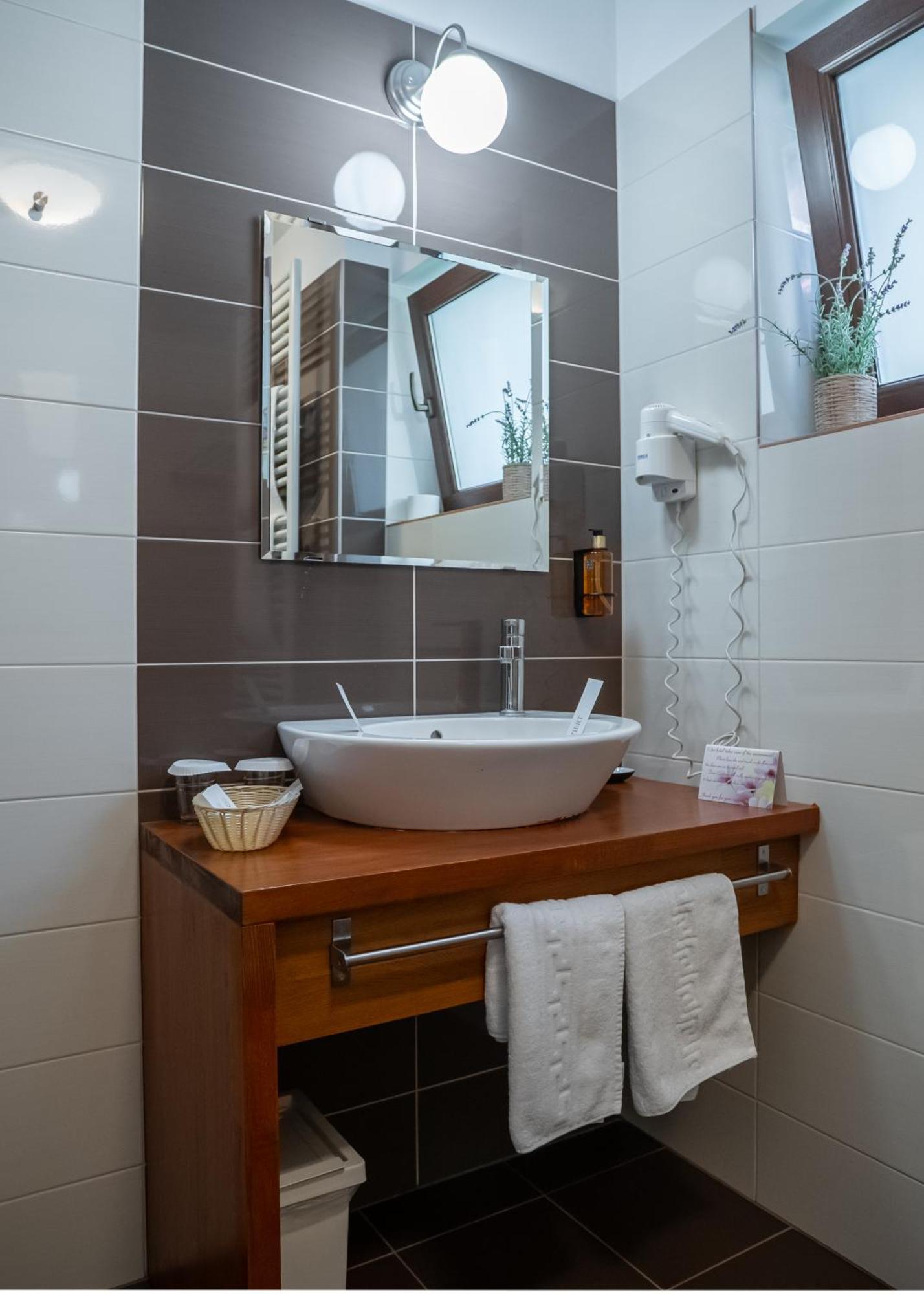 Opus Villa Sinaia Ngoại thất bức ảnh Bathroom in a hotel