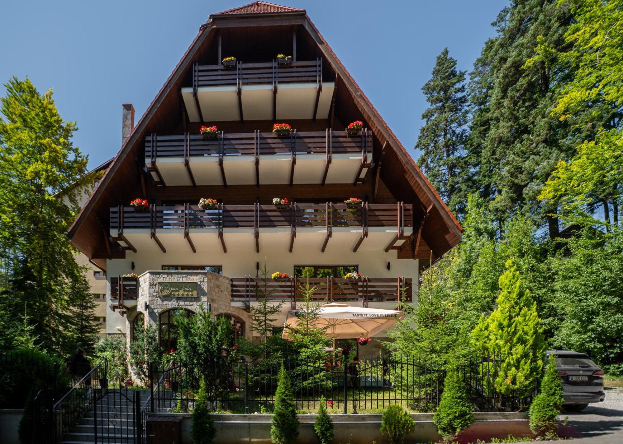 Opus Villa Sinaia Ngoại thất bức ảnh The chalet in 2012