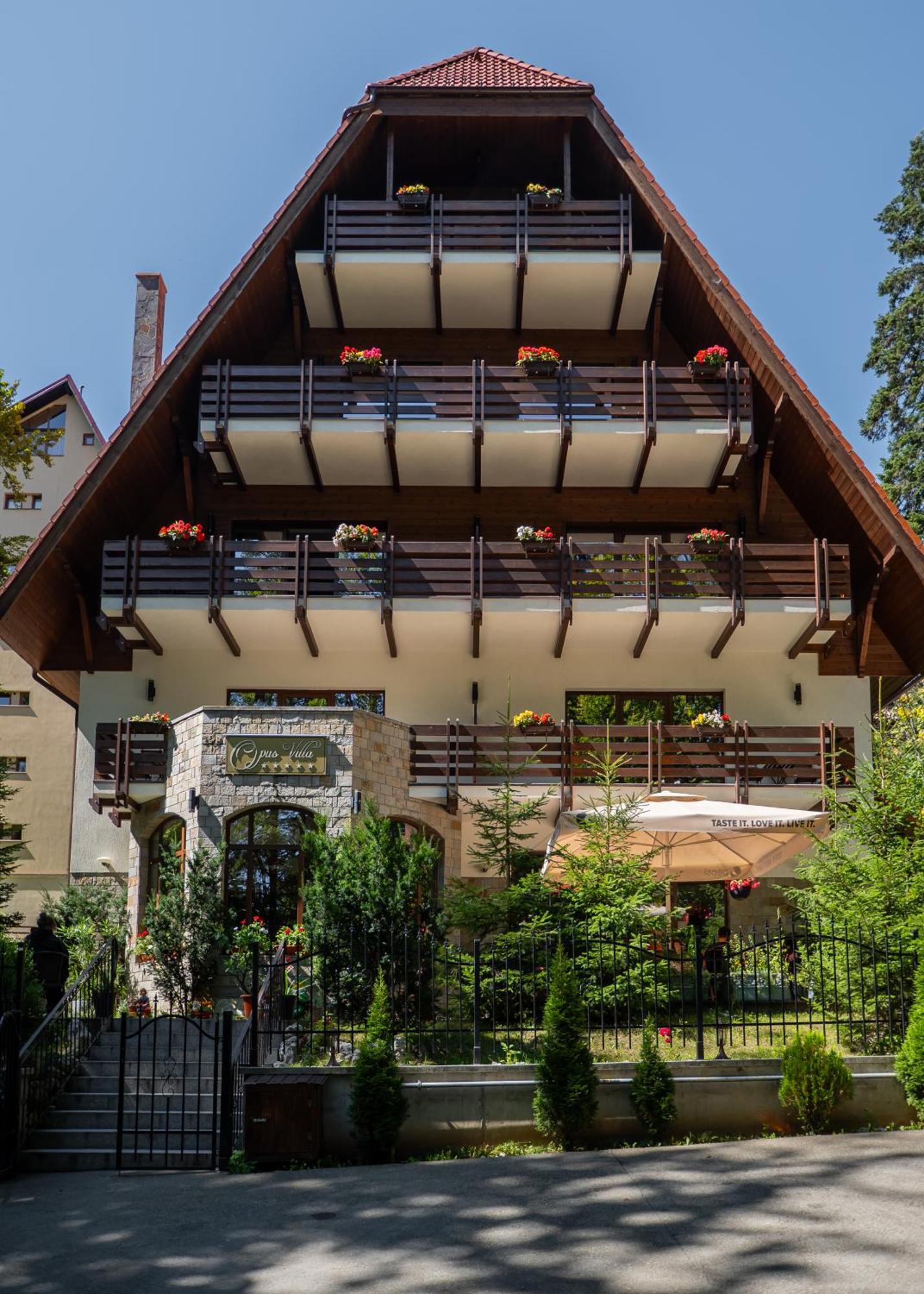 Opus Villa Sinaia Ngoại thất bức ảnh The house of the writer in the village of Vrana