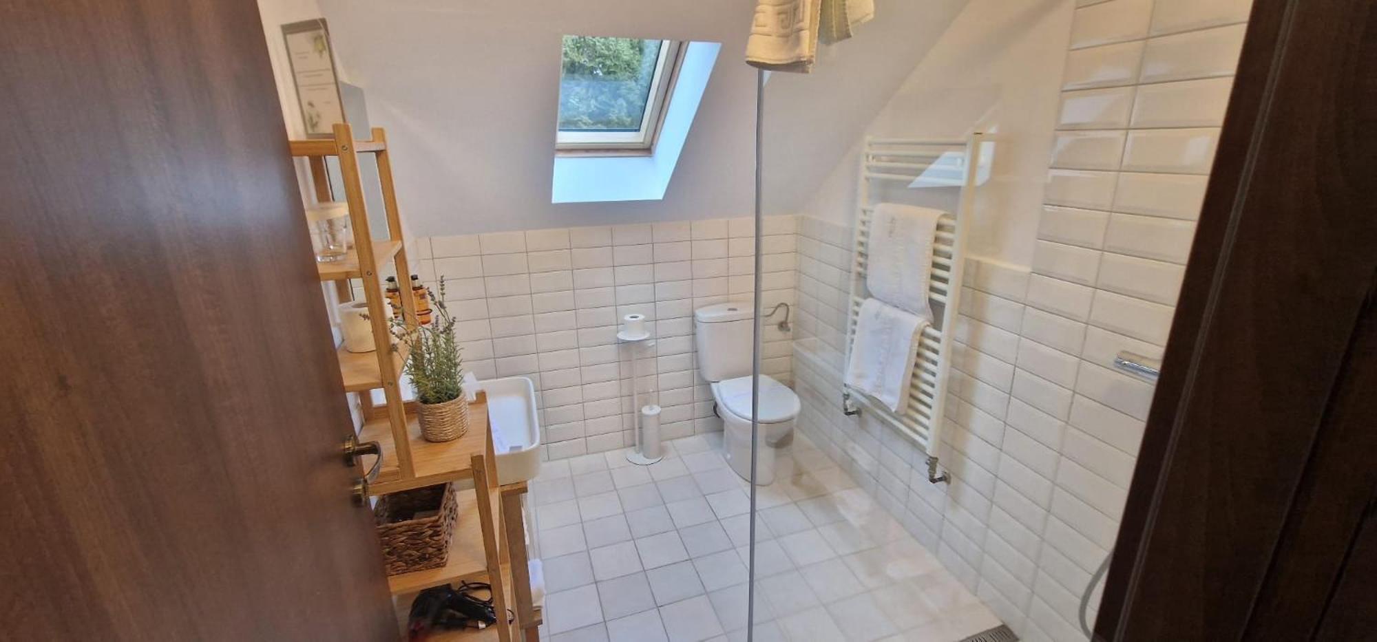 Opus Villa Sinaia Ngoại thất bức ảnh Bathroom with a shower